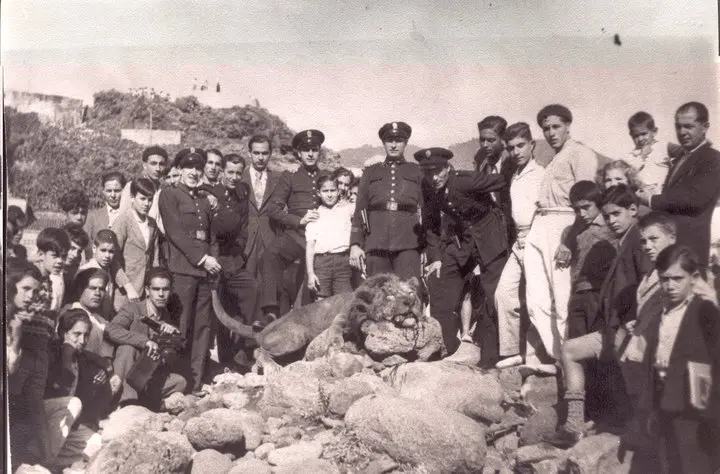 Muerte del León Bubu - Las Explanadas